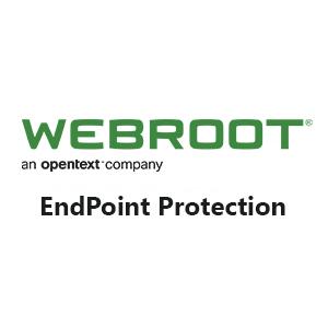 Webroot - AntiVirus Antivirus and Endpoint Protection Webroot 