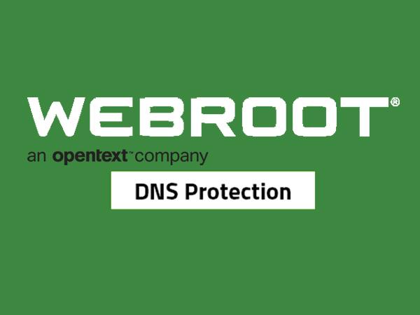Webroot - DNS Protection Network Security Webroot 